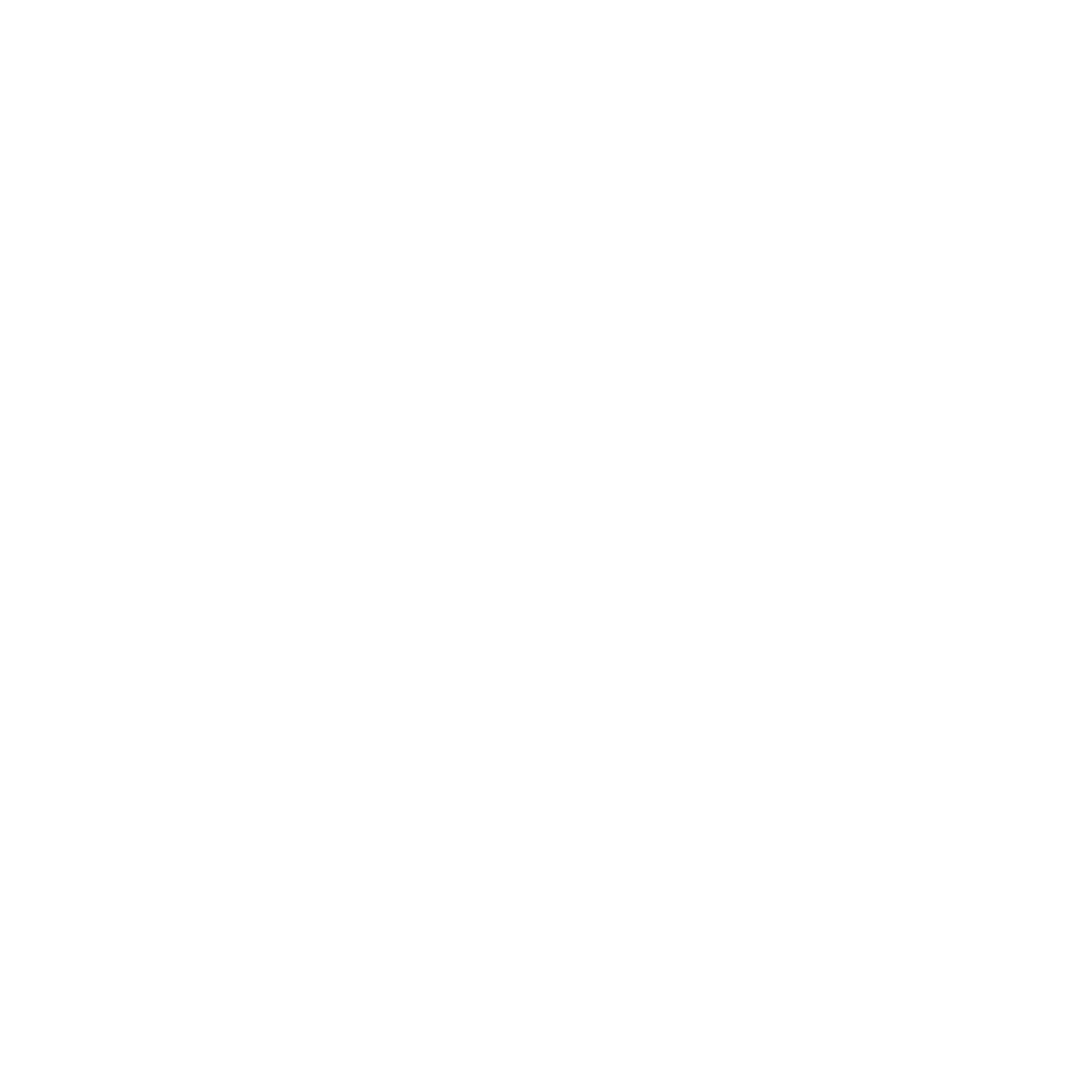 BDV Cursinho Logo